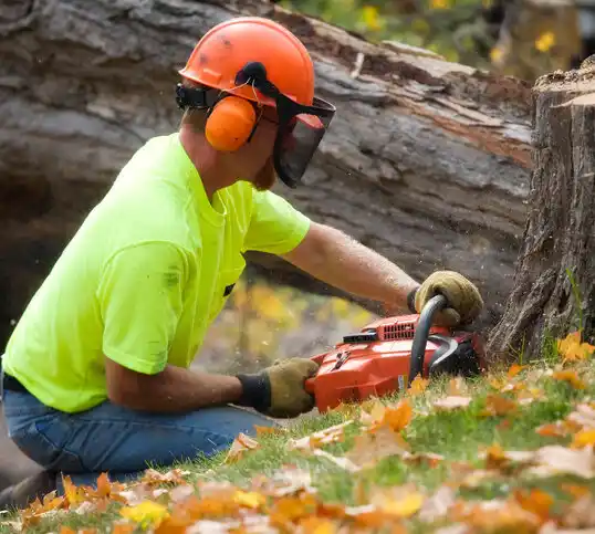 tree services Pine Lawn